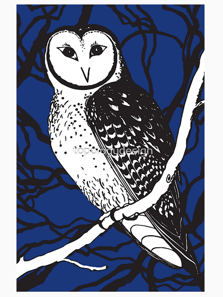 Masked owl by topologydesign
