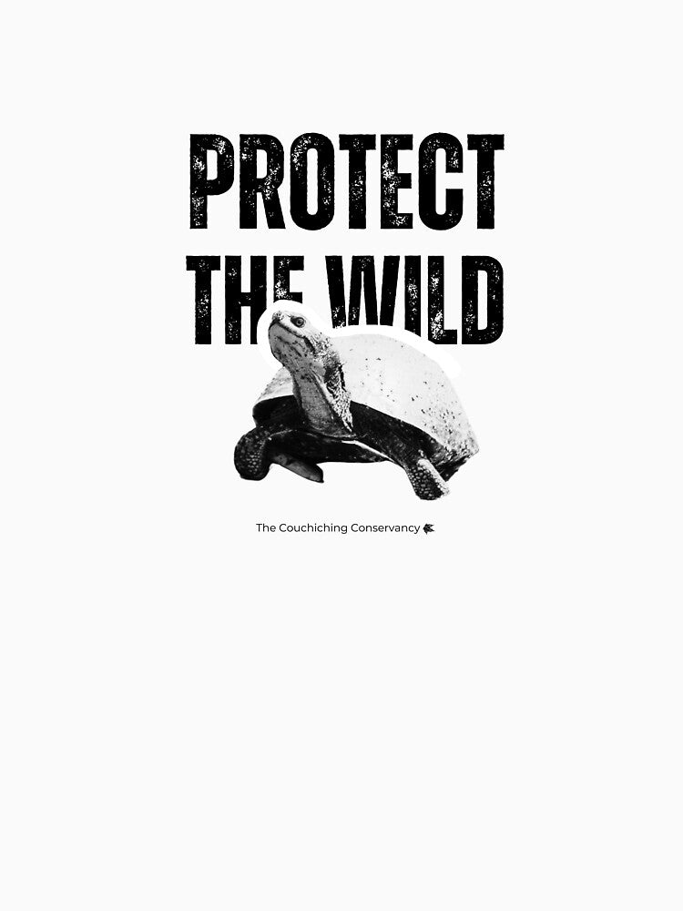 Protect the Wild- Turtle by Couchiching Conservancy