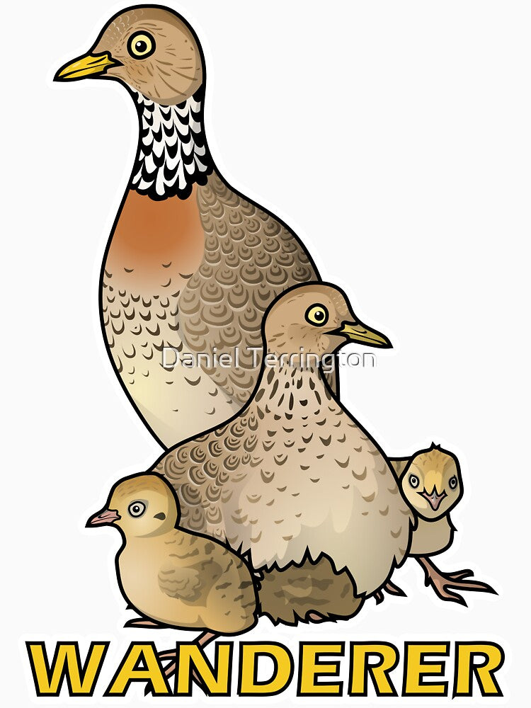 Plains-wanderer Family by Daniel Terrington