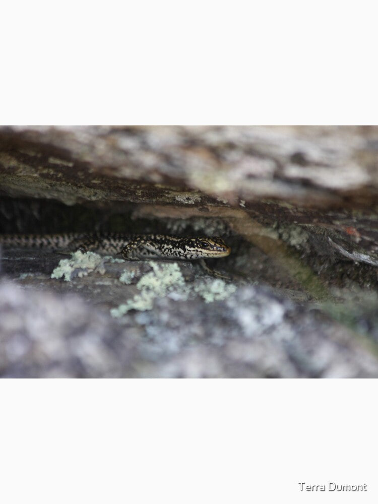 Grand Skink - hiding by Terra Dumont