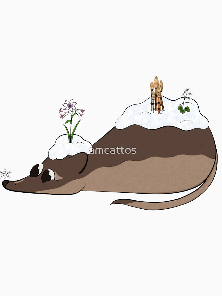 Pribilof Island Shrew (Sorex pribilofensis) by amcattos