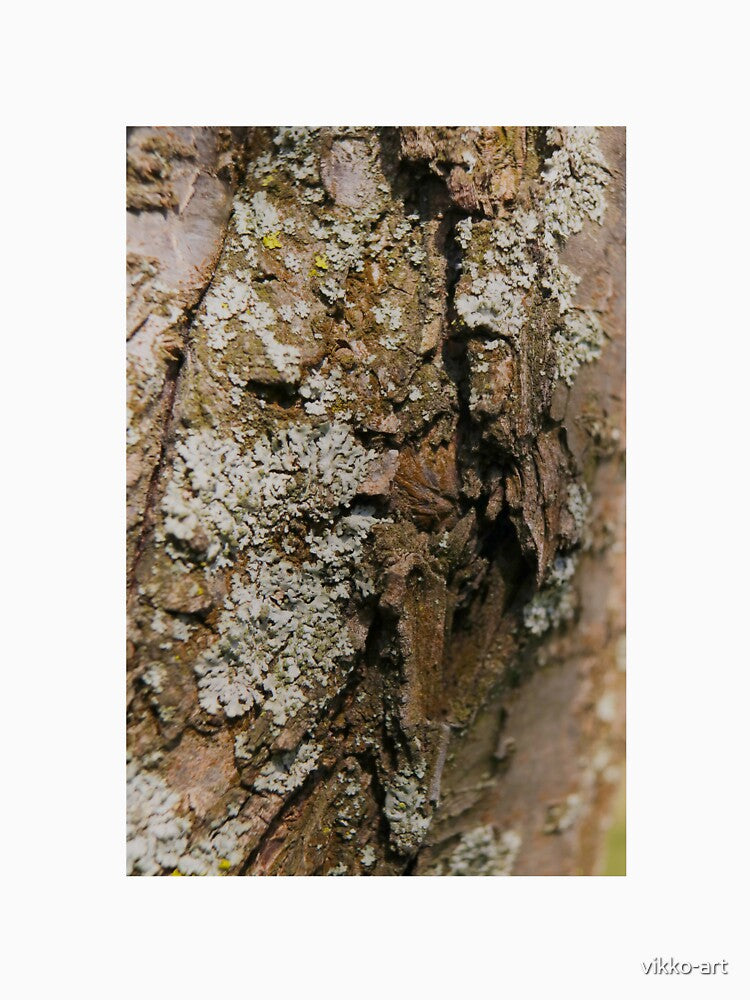 Rustic Earthy Lichen on Tree Bark Macro by vikko-art