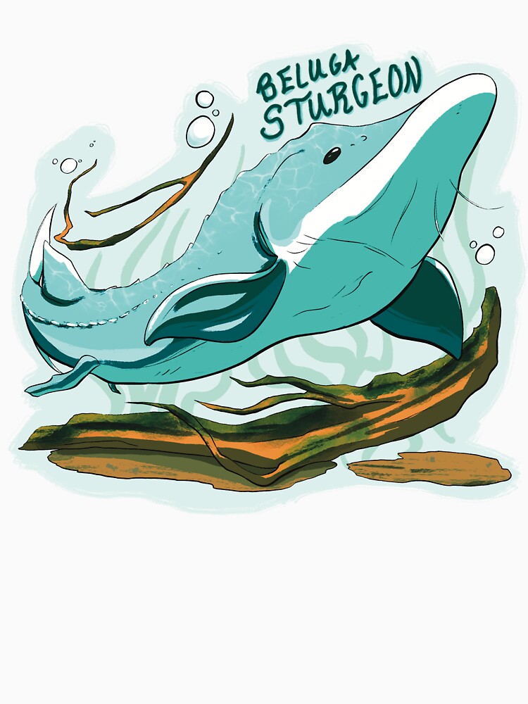 Beluga Sturgeon (Endangered Species) by Dragon Blossom Art
