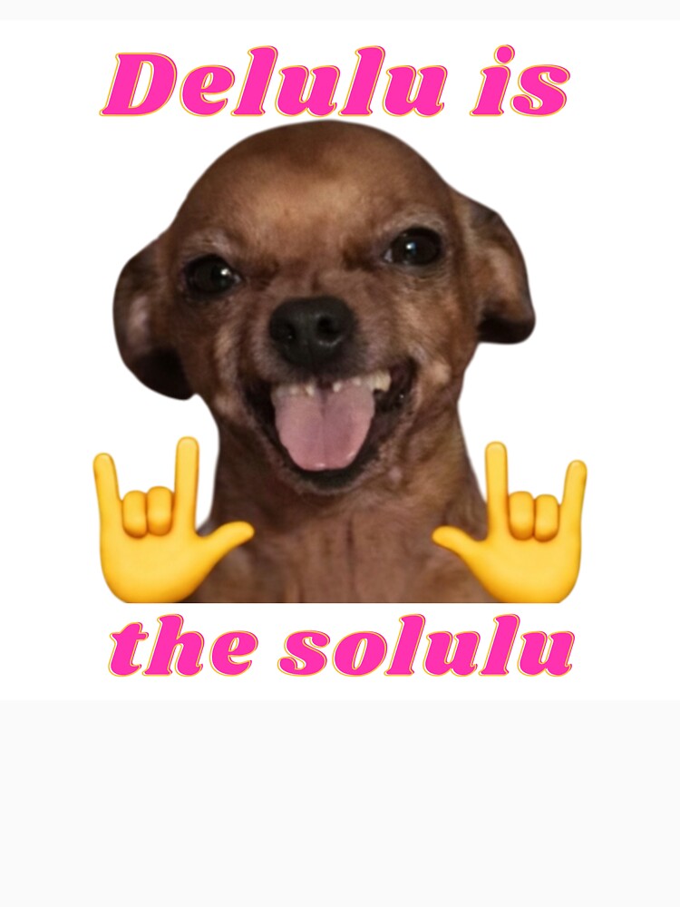 Delulu is the solulu by Di23Y