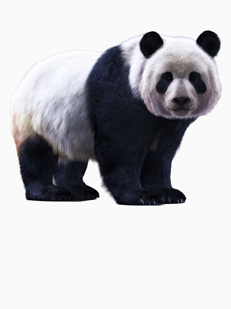 Giant Panda – Realistic Wildlife Portrait by Massimo Righi