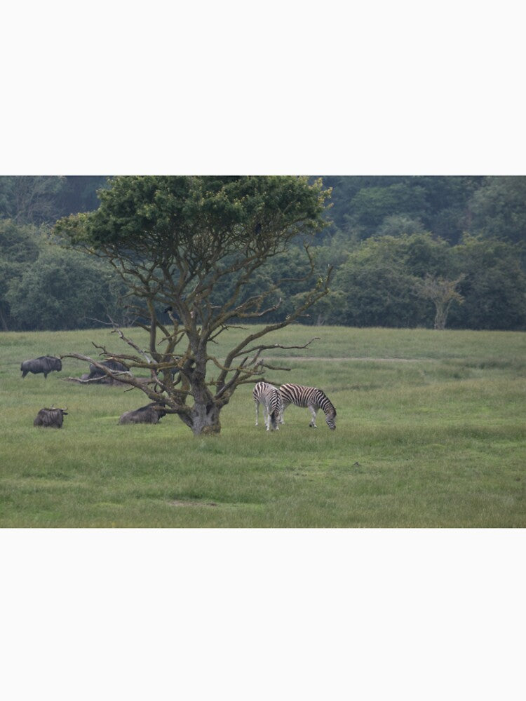 Zebra & Wildebeest by Conservation Art Emporium