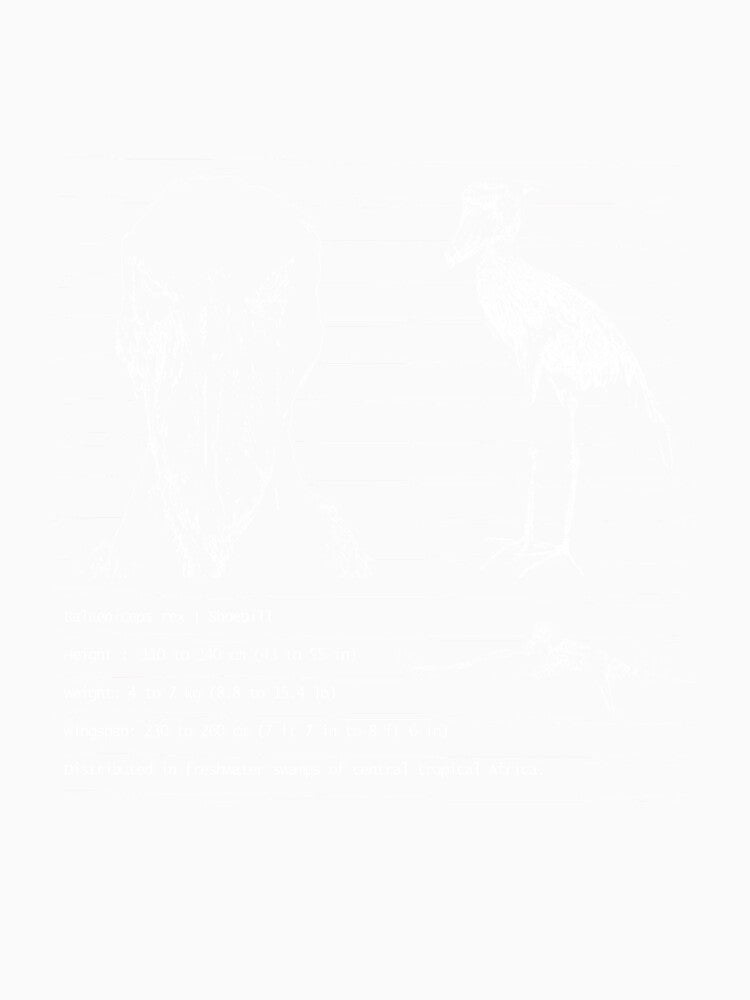 Balaeniceps rex | shoebill by Garnfinger