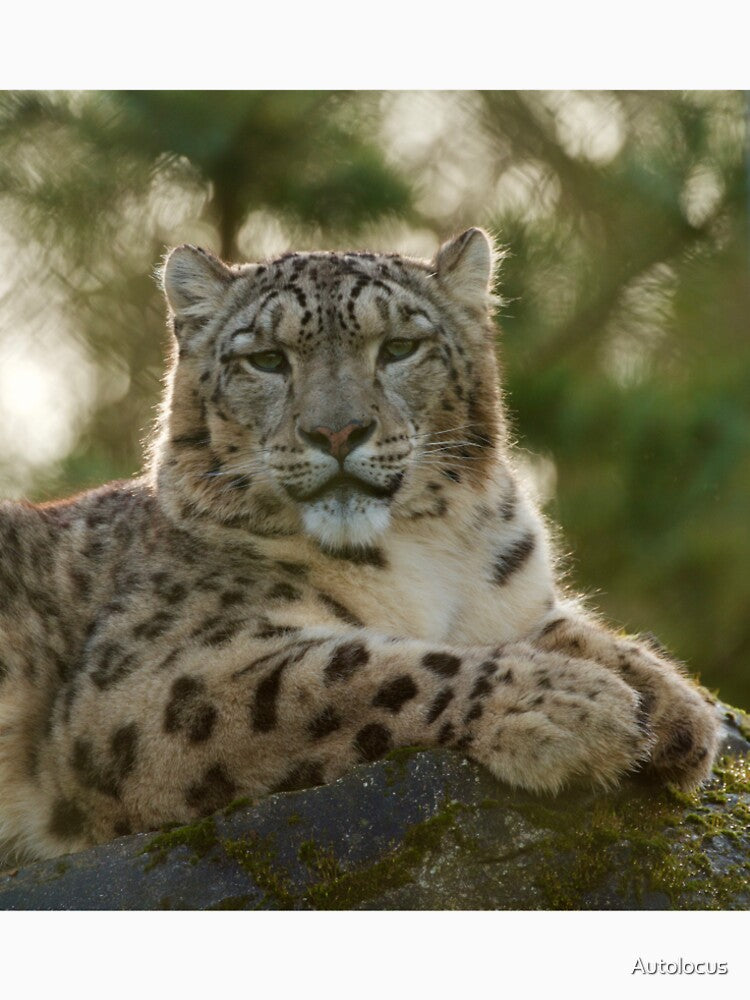 There's Snow Leopard Like Me! by Autolocus