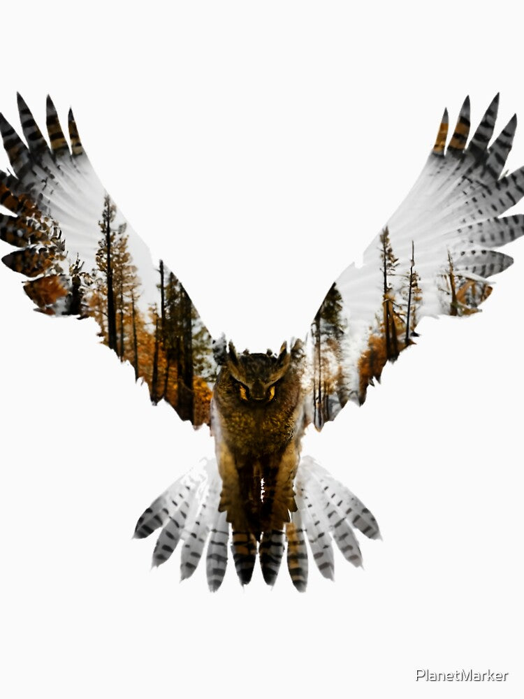 Wild Flying Owl by PlanetMarker