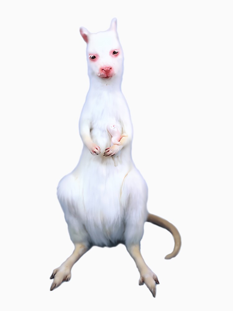 Bizarre Weirdcore Wallaby And Baby Meme by nctdhlkseos50