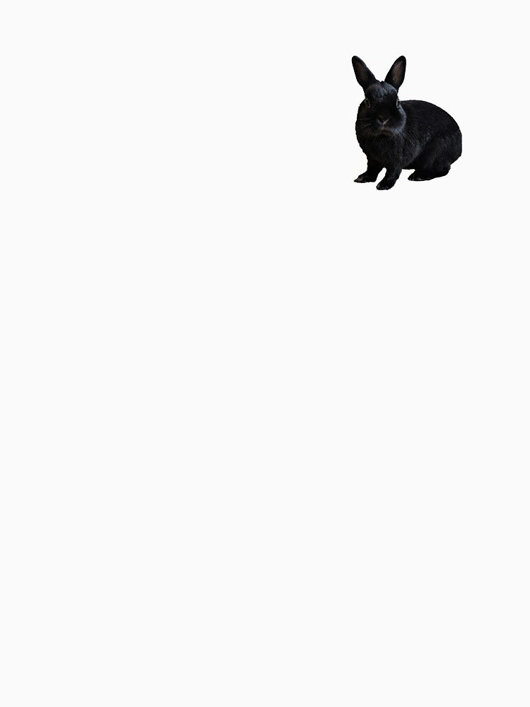 Cute Black Rabbit by misomomo