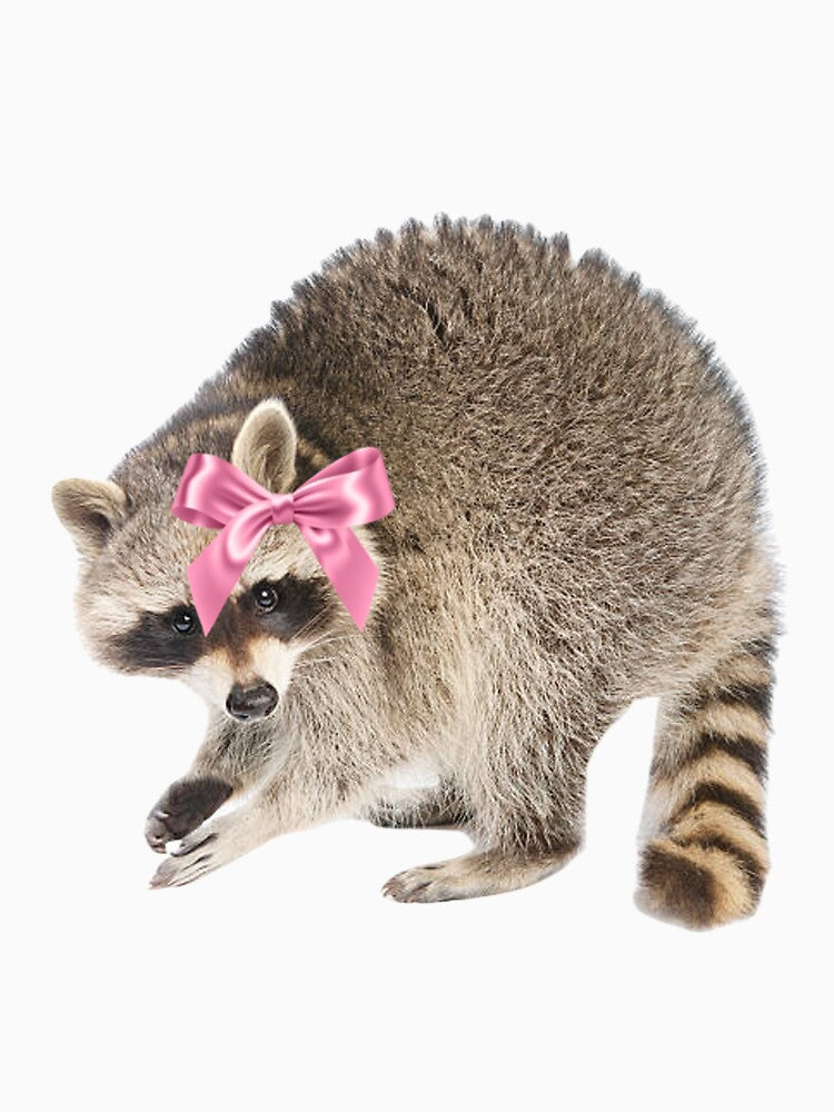 coquette racoon by SillyLittleSnek