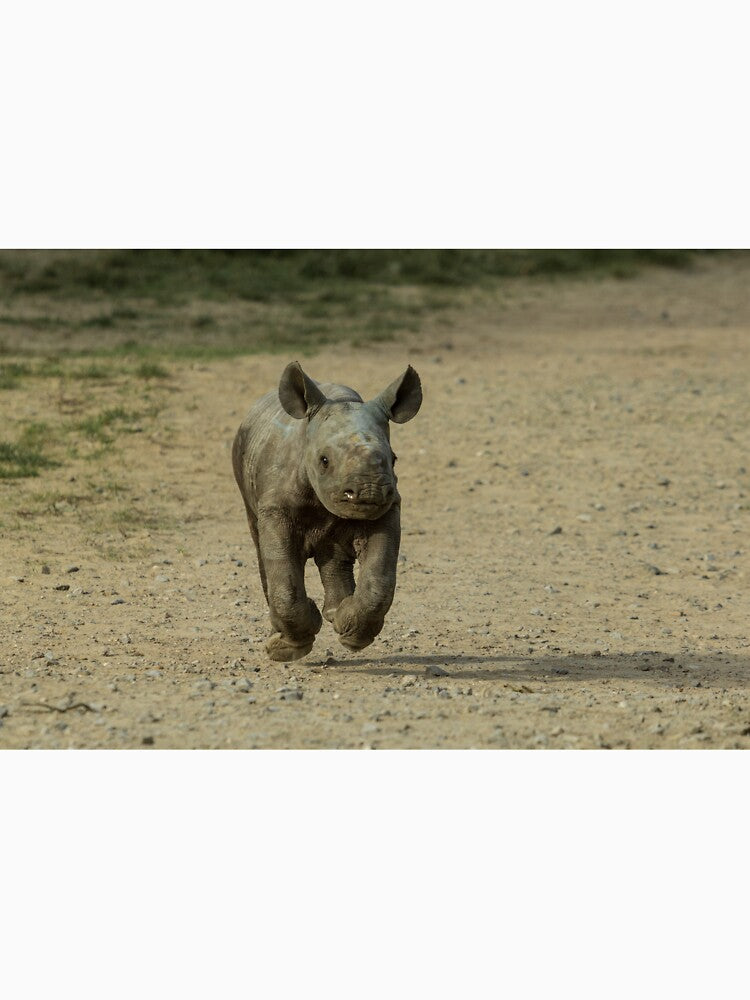 Rhino calf running by Conservation Art Emporium