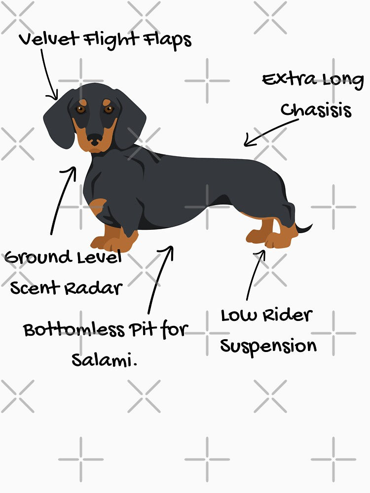 Anatomy of a Dachshund - Doxie Mom Gift by RNTStudio
