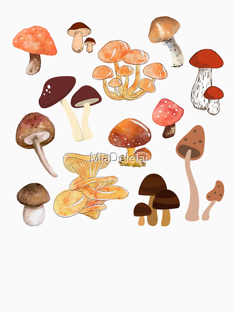 Just Shrooms Cottagecore Mushrooms Illustration by MiaDelelai