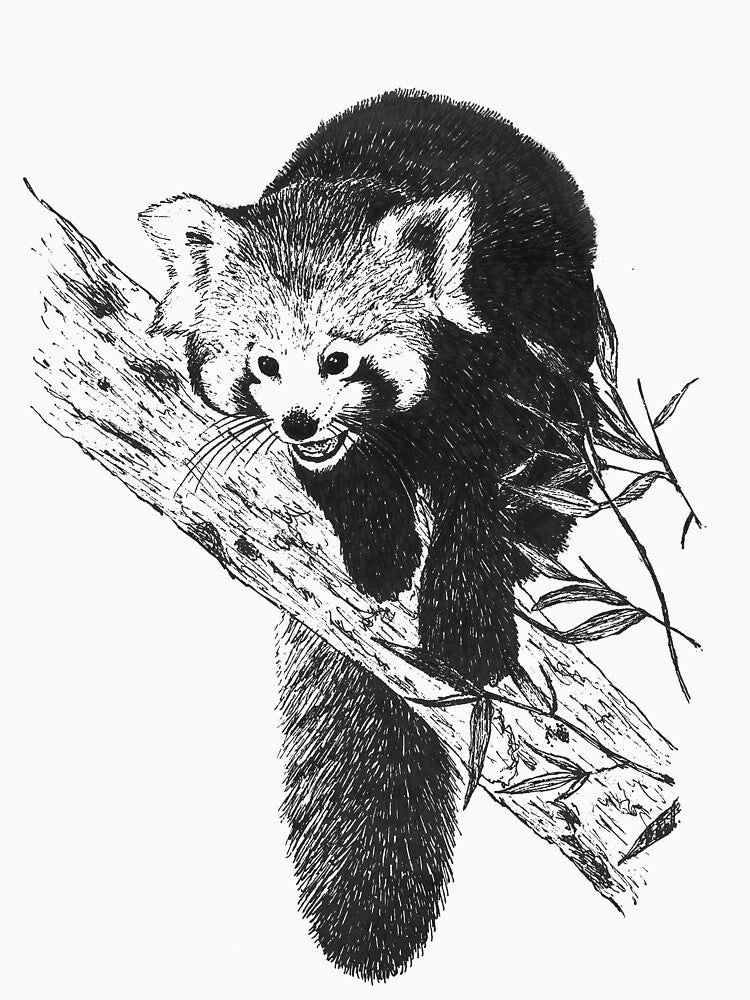 Red Panda by ZoObsessed