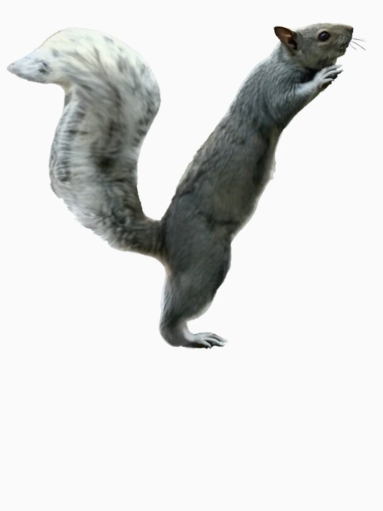 Gonads and Strife – Early Internet Meme Squirrel by TheDisloyalists