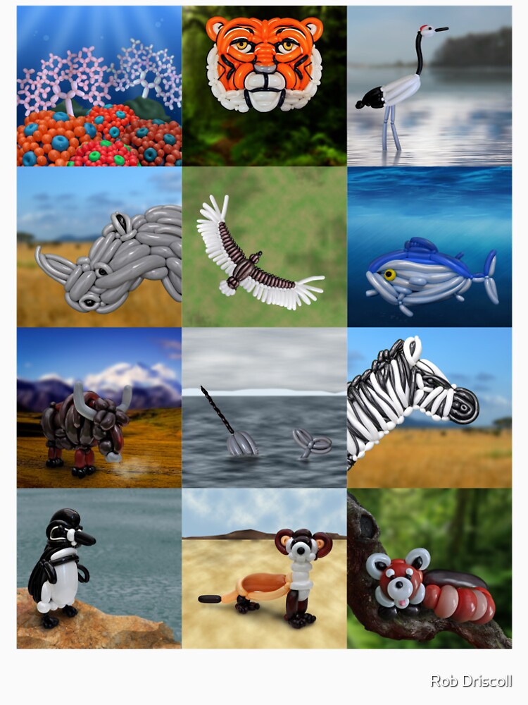 Endangered Species in Balloon by Rob Driscoll