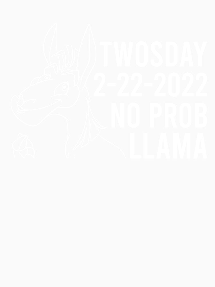 Twosday 2-22-2022 No Prob Llama Twosday 2022 Funny Teacher by SmayloDesigner
