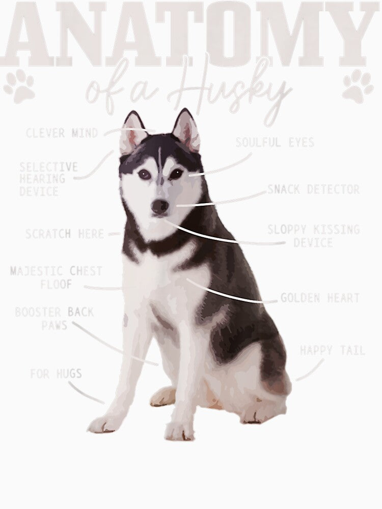 Anatomy Of A Siberian Husky Funny Cute Dog Husky Mom Dad by kimngw