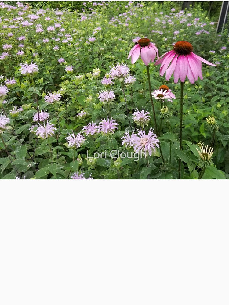 Purple Coneflower and Bergamont by Lori Clough