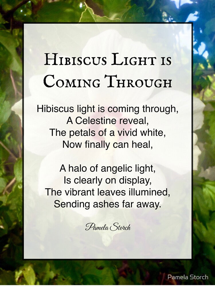 Hibiscus Light is Coming Through – Inspirational Nature Poem by Pamela Storch by Pamela Storch