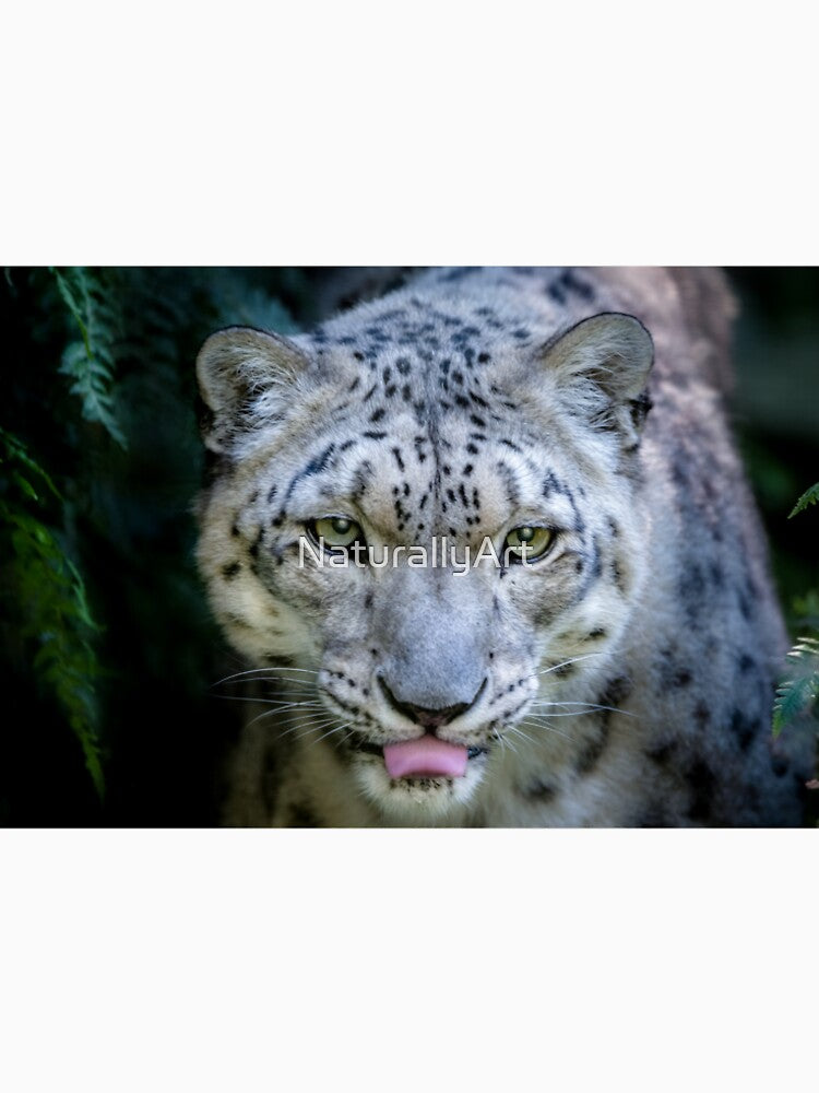 On the Prowl by NaturallyArt