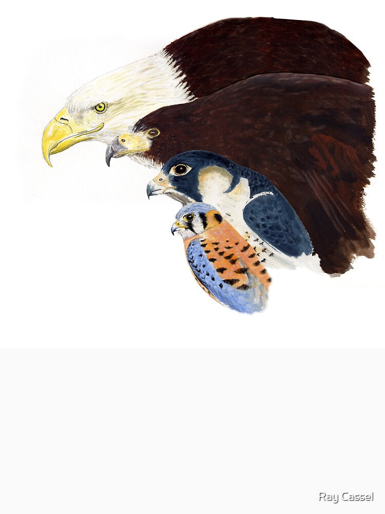 Raptors by Ray Cassel