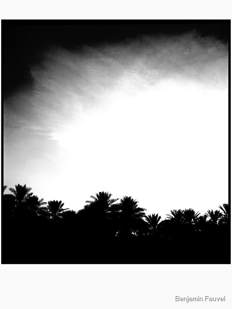 Palm Oasis by Benjamin Fauvel