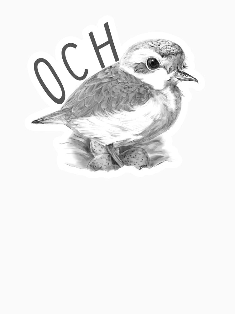 Snowy Plover (2022) OC Habitats by OCHabitats
