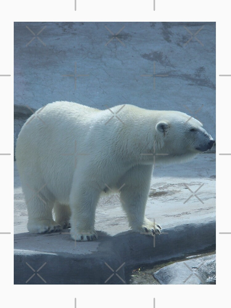 Bear Image by Jodes16