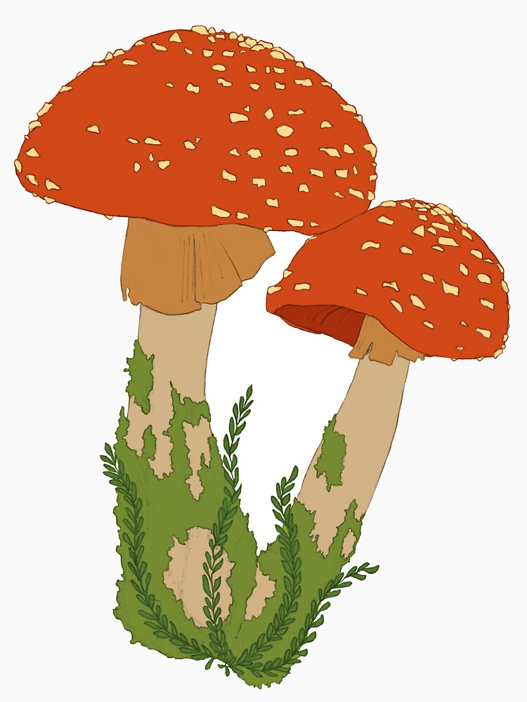 Cute Mossy Mushroom by lauratroy