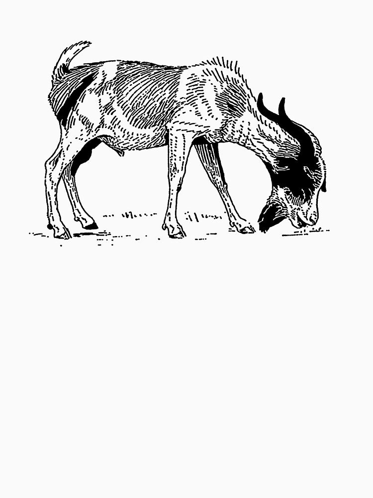 Goat by DelirusFurittus