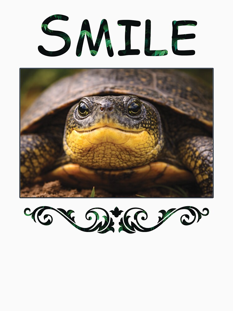 Turtle Smile by mediafreespirit