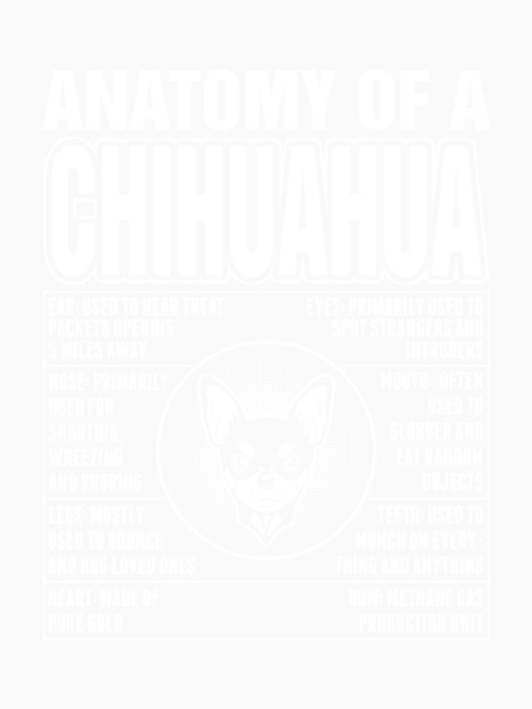 Anatomy Of A Chihuahua Dog by StarcyWol