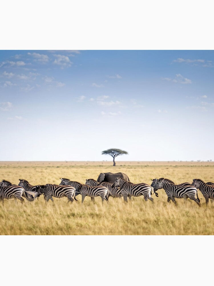 The Elephant in the Savanna by Collection de trésors