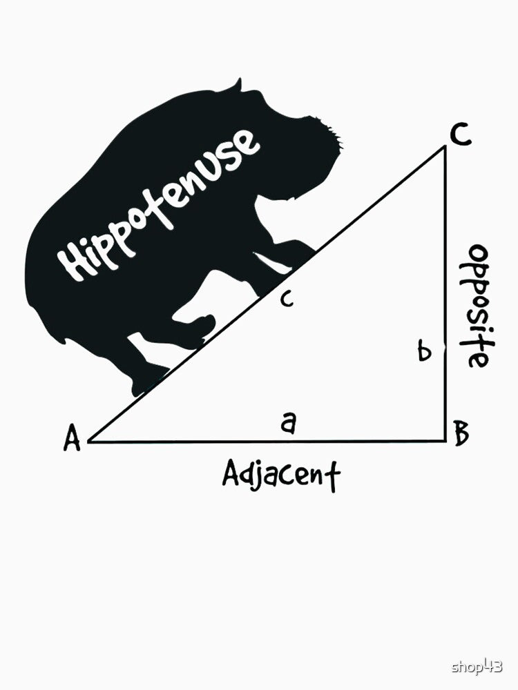 Funny Math Humor Hippotenuse Hypotenuse Funny math by shop43