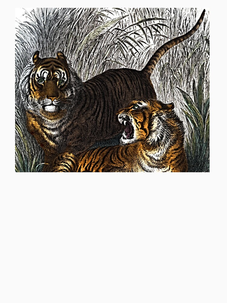 Tigers Illustration by NoxLand