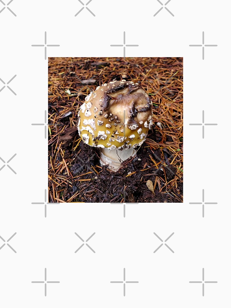 Gross Mushie by moon.over.pnw