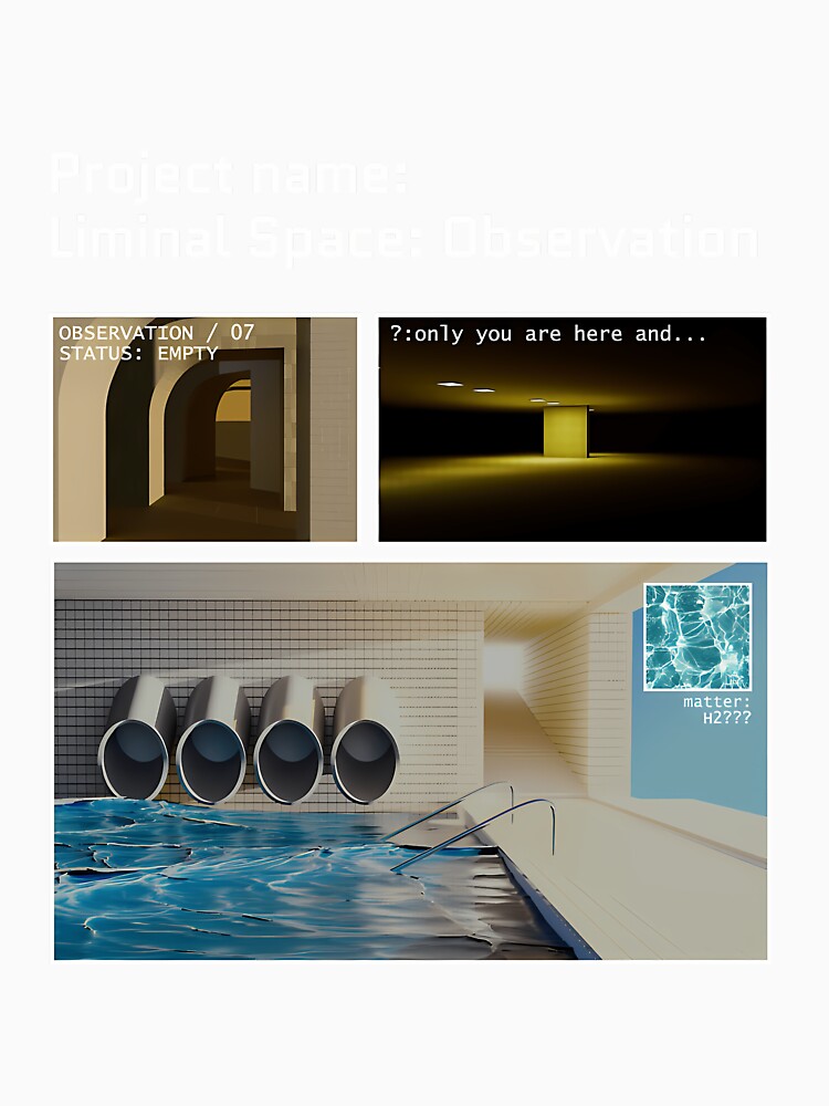 Observation Liminal Space Project by ihplpiyhzcw8