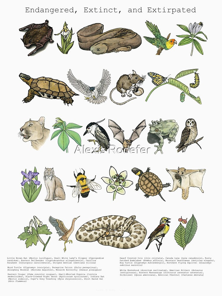 Endangered, Extinct and Extirpated by Alexis Rodefer