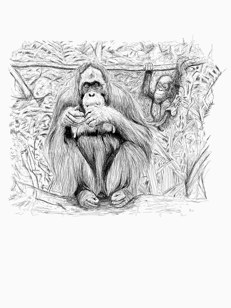Critically Endangered Bornean Orangutan by motorcycles