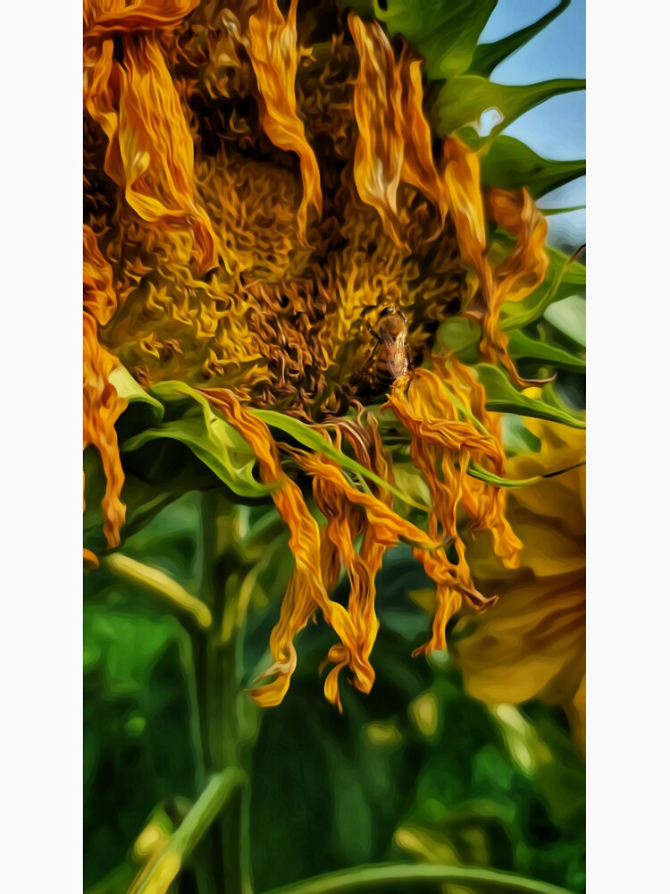 Save the bees by Oruga420