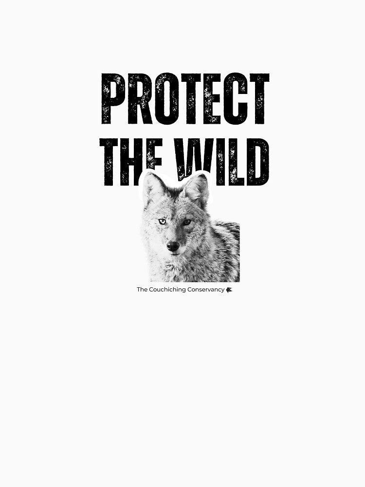 Protect the Wild- Coyote by Couchiching Conservancy