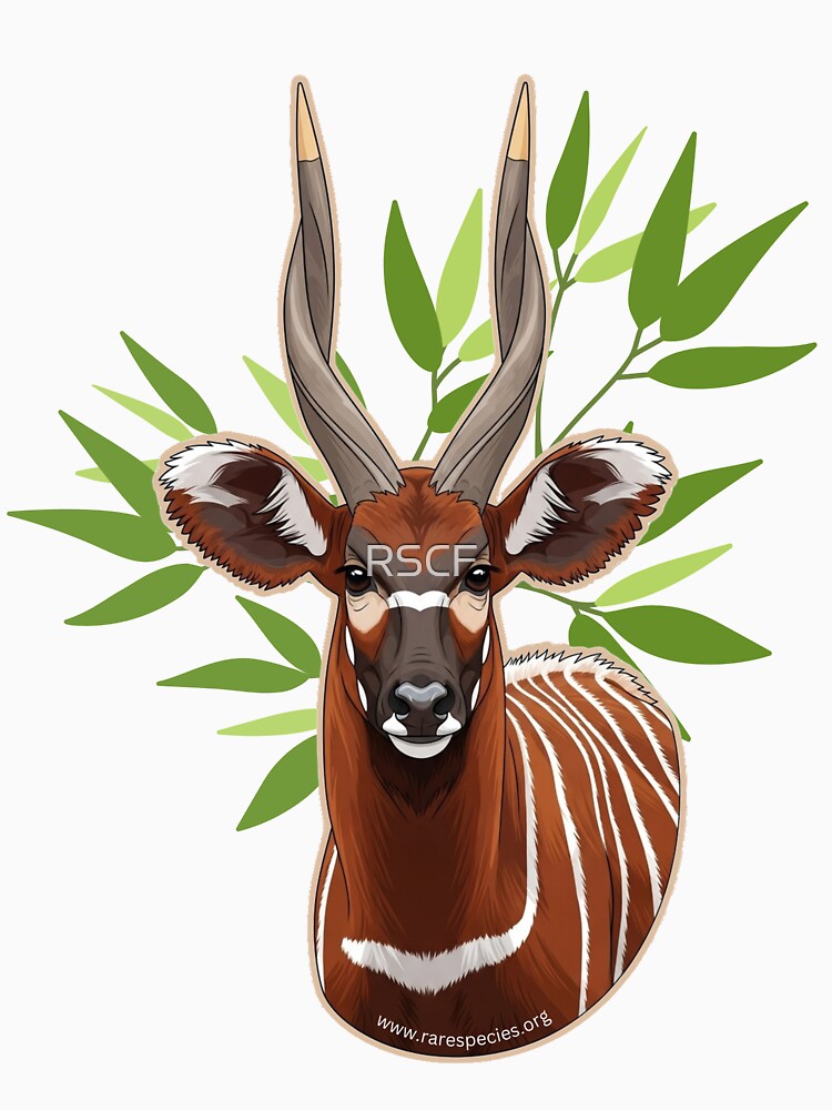 Female Mountain Bongo Antelope by RSCF by RSCF