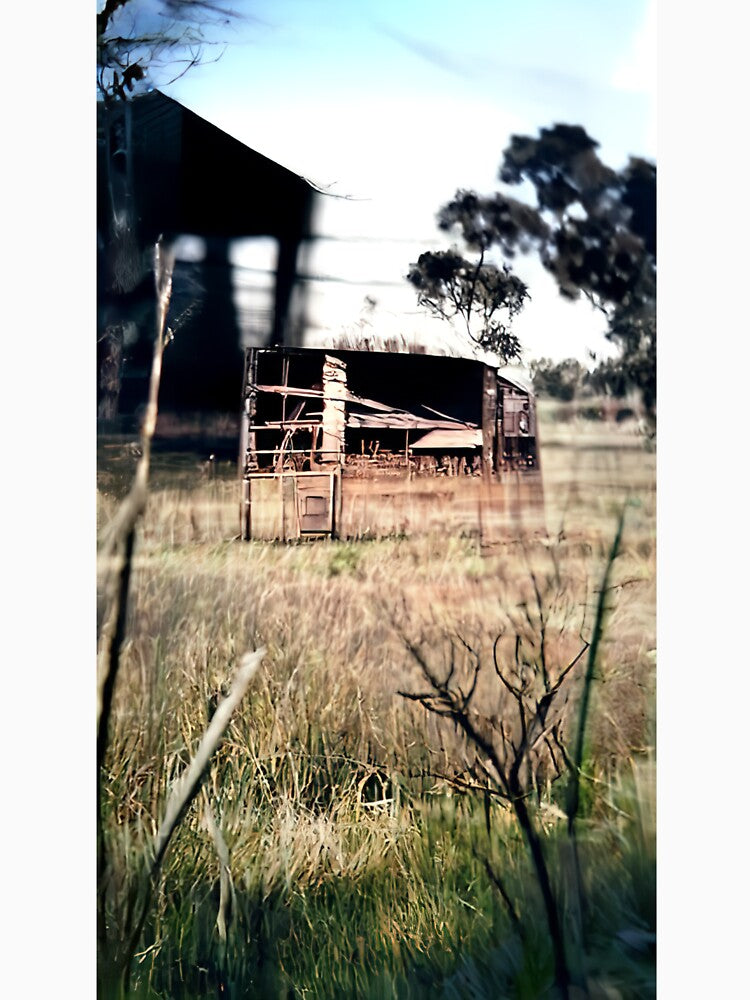 A disused shed in a paddock by kiertwice