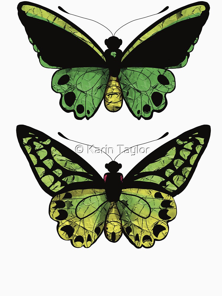 Richmond Birdwing Butterfly Male and Female by Karin Taylor