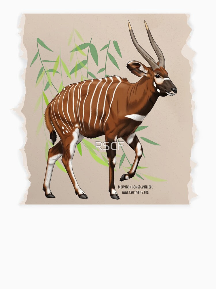 Mountain Bongo by RSCF by RSCF