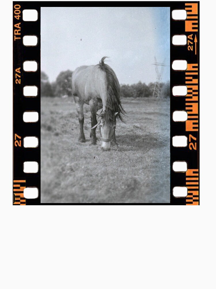 Pasture Calm 35mm Analog Memory by ArtFusionRalf