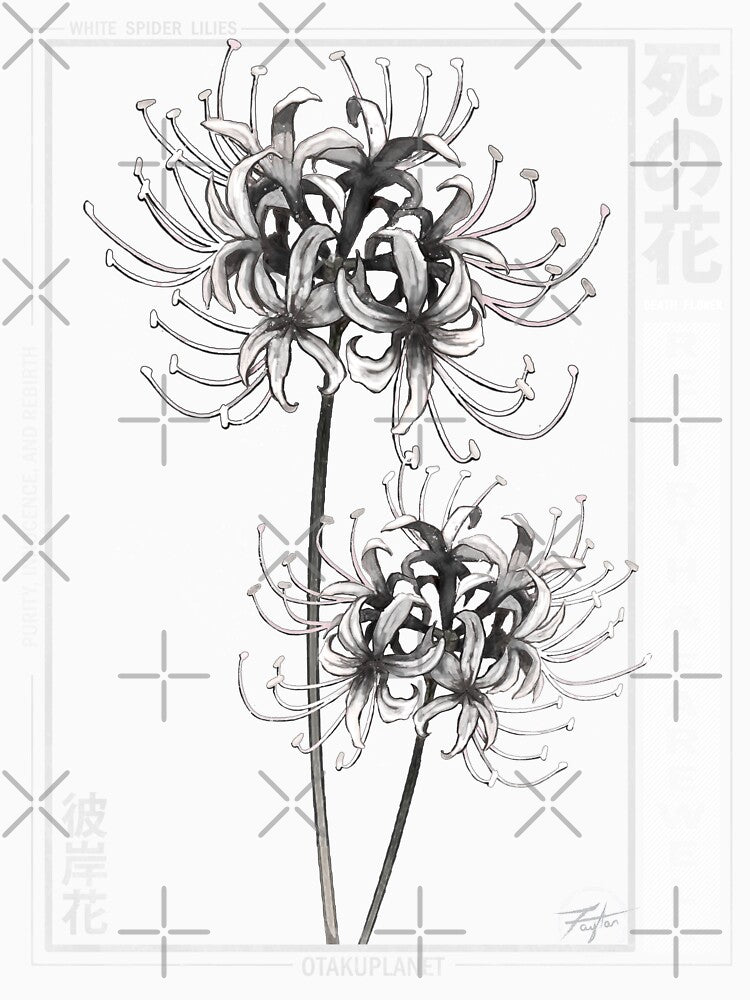 japanese white spider lily aesthetic by Otakuniverse